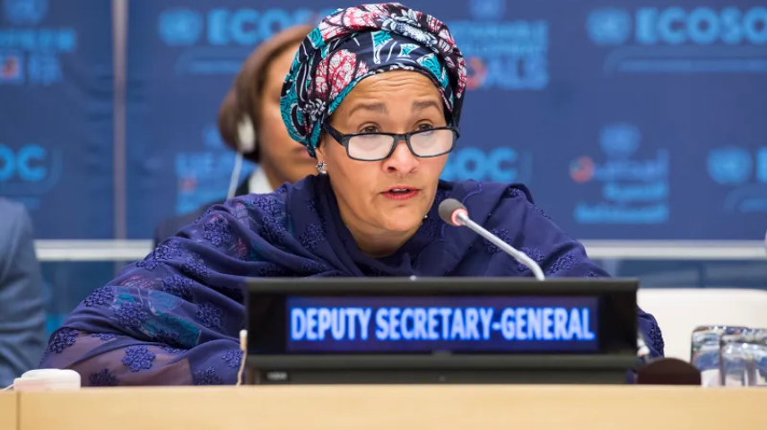 Amina J Muhammed